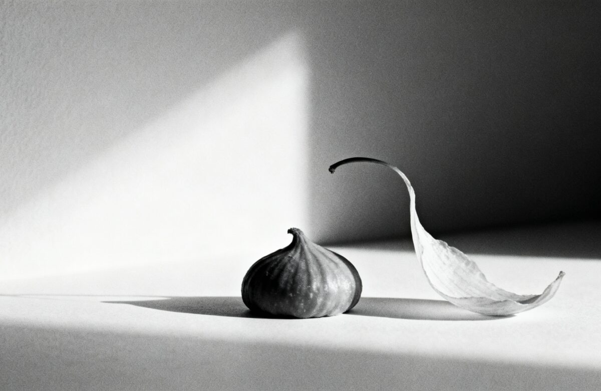 Geração Alpha e Z: O que procuram os novos consumidores na perfumaria