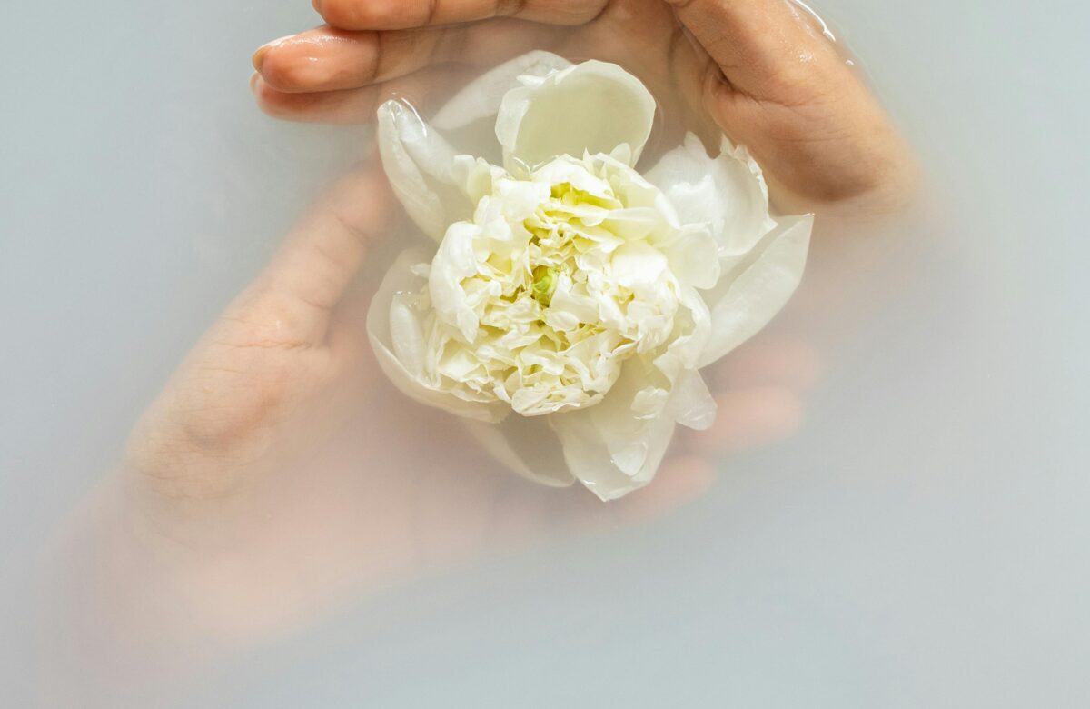 Ambientes Perfumados: Como Escolher o Aroma Ideal?